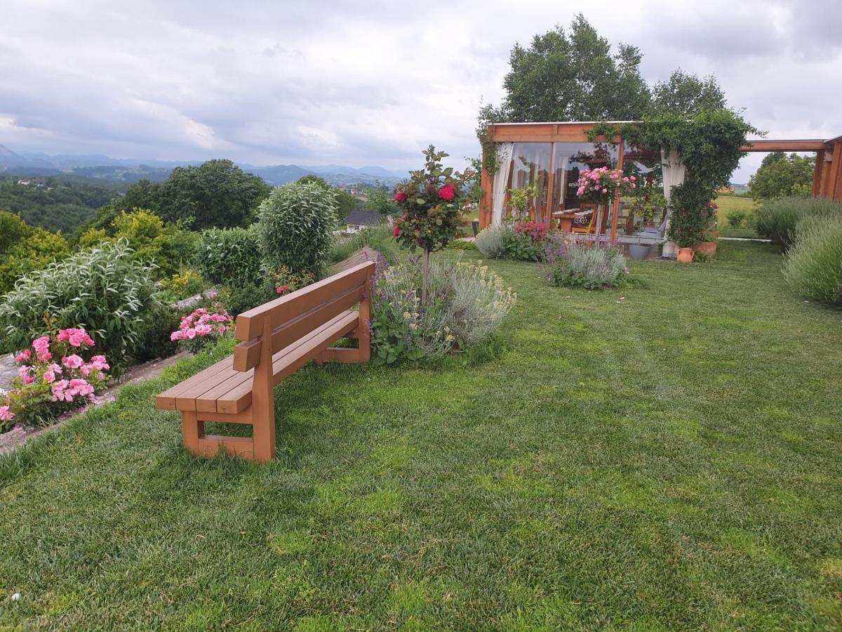 B&B Villa Angelina Рогашка-Слатіна Екстер'єр фото