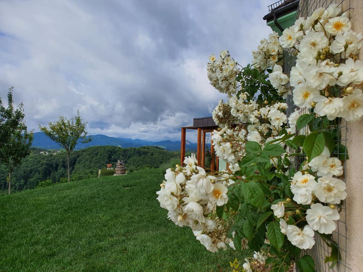 B&B Villa Angelina Рогашка-Слатіна Екстер'єр фото
